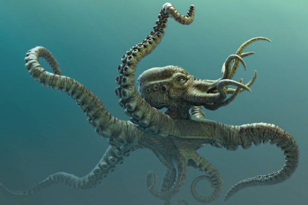 Kraken домен